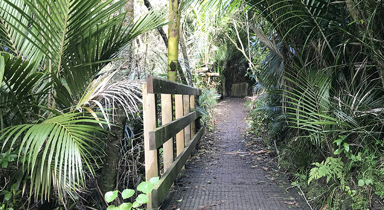 Dingle Dell Path - Section of track through the bush area.