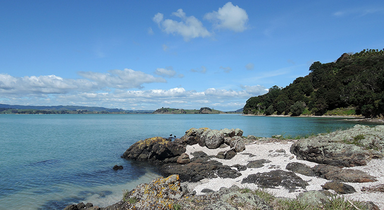 Duder Duck Bay Track