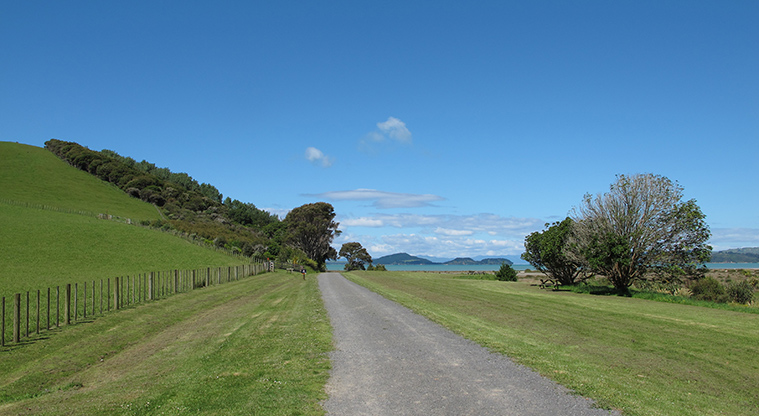 Duder Duck Bay Path - First part of the path is along a metal road.