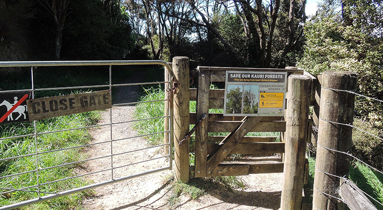 Duder Duck Bay Path - Pass through this gate.