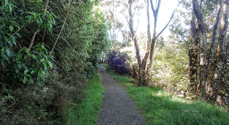 Duder Duck Bay Path - Track narrows but still very manageable.