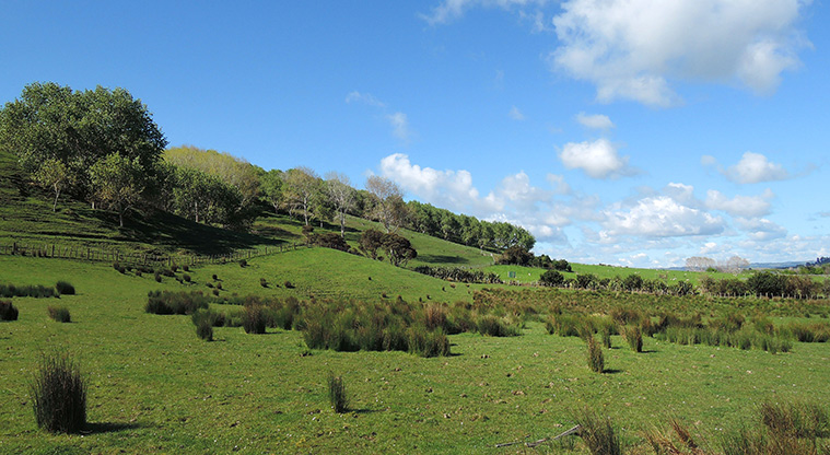 Duder Farm Path - Farm views