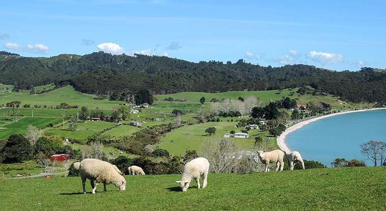 Duder Farm Path - Views over Umupuia Beach
