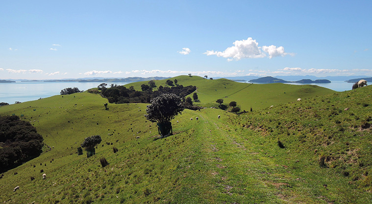 Duder Farm Path - Follow the ridge through the farm