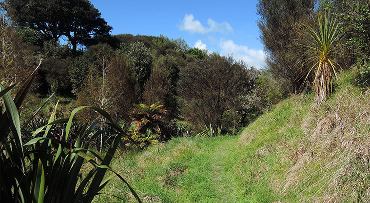 Duder Sustainable Path - Path goes through farm tracks