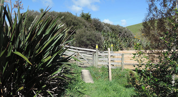 Duder Sustainable Path - Keep following yellow markers