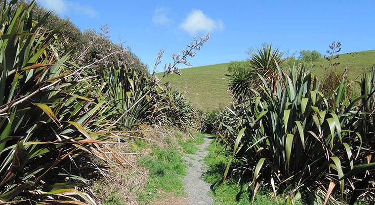 Duder Sustainable Path - Gravel section of the path