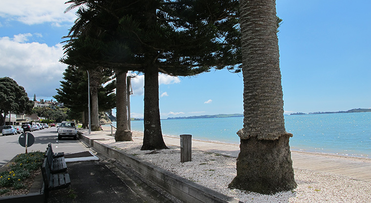 Eastern Beach Path - Raised boardwalk section around palms