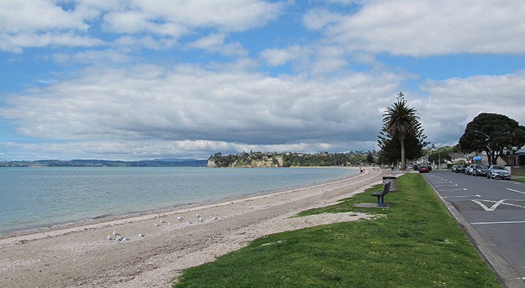 Eastern Beach Path - View back down the beach