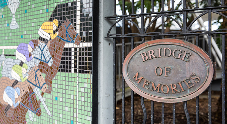 Ellerslie Town Centre Path - Mosaic artwork on the Bridge of Memories.