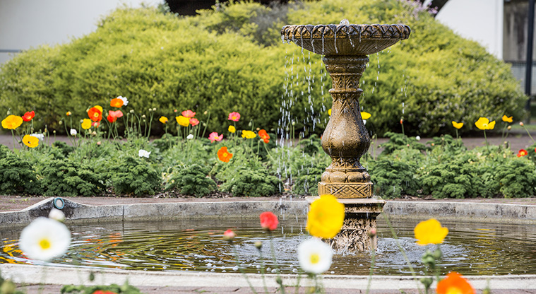 Ellerslie Town Centre Path - Ellerslie Racecourse gardens.