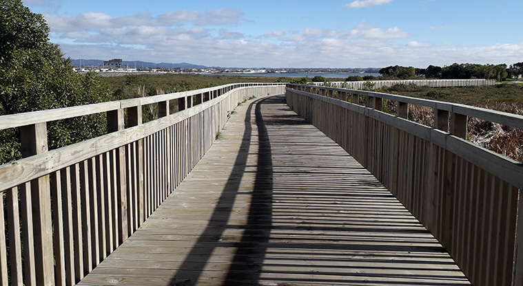 Eric Armishaw to Waterview Path - Boardwalk coming back from Waterview.