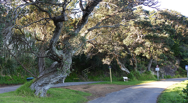 Esplanade Path - This quiet route is a great alternative for walkers and cyclists.