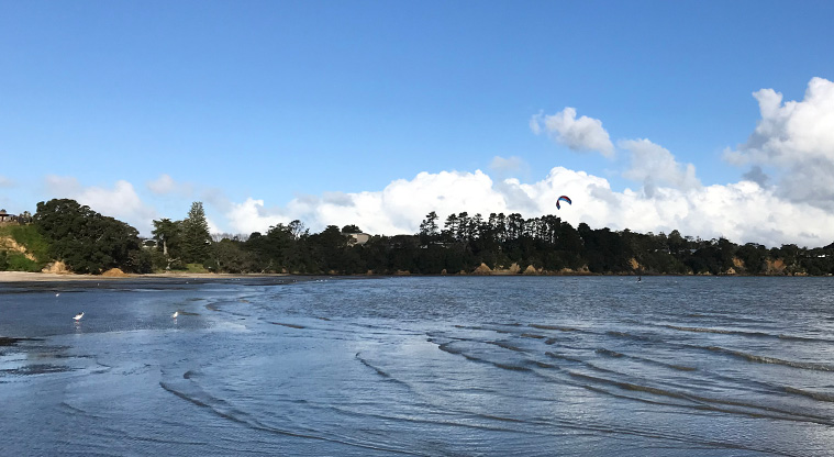 Esplanade Path - On windy days, shallow Surfdale Bay is a mecca for kite surfers.