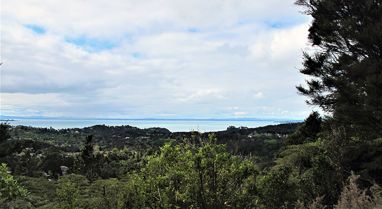 Exhibition Drive Track - Views over Manukau Harbour.