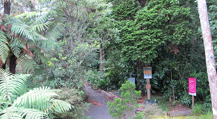 Fernglen Path - Path starts above Education Room and Rock Garden.