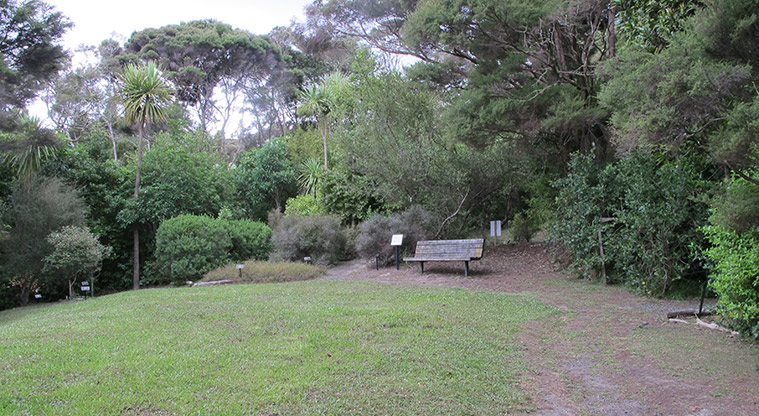 Fernglen Path - Reflection seating on Ben’s Ridge.