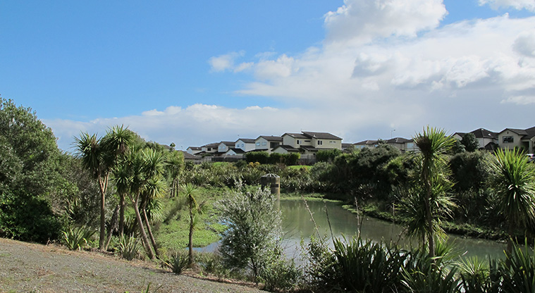 Flat Bush Path - One of the many wetland features along the path.