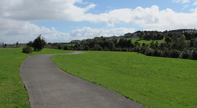 Flat Bush Path - Typical section of the path.