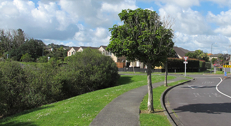 Flat Bush Path - Narrow section of the path on Jerpoint Drive.