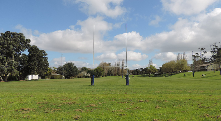 Fowlds Park Path - Sports fields