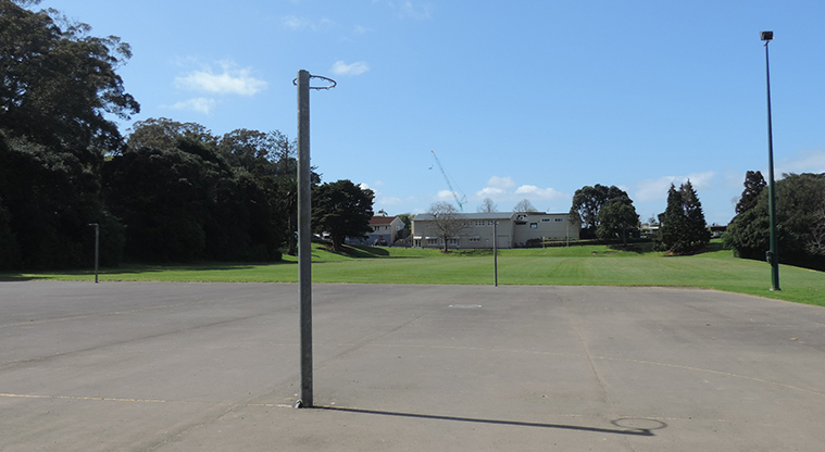 Fowlds Park Path - Netball courts