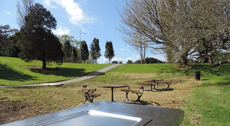 Fowlds Park Path - Barbecue space