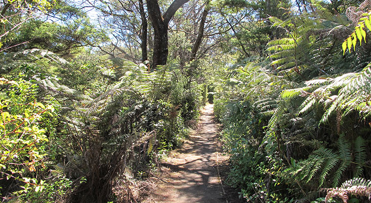 Gittos Domain Path - Typical section of the path.