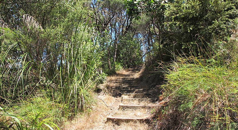 Gittos Domain Path - Be prepared for steps.