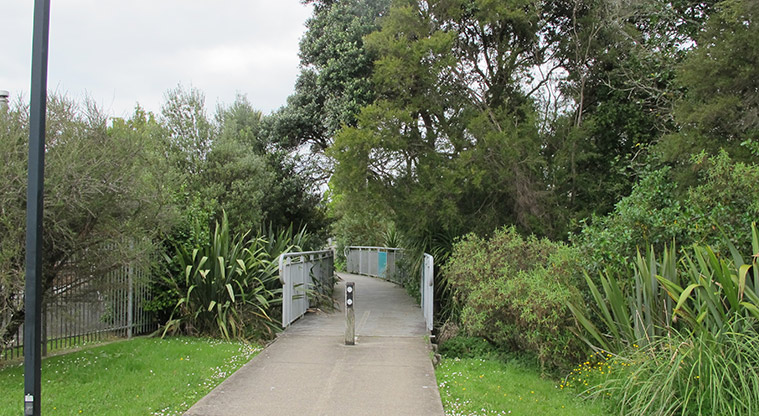 Te Ara Hono / Glen Eden to Kaurilands Path - Short bridge across Waikumete Stream.