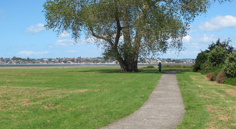 Glendowie Park to Tahuna Torea Path - Enjoy plenty of green space in Roberta Reserve.