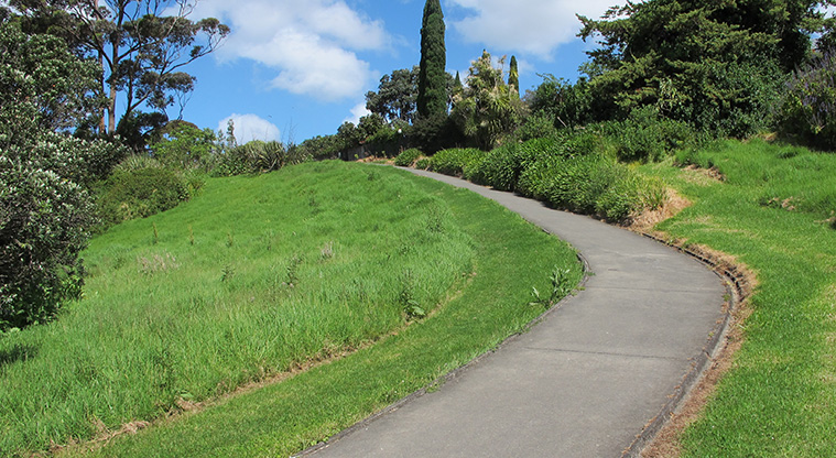 Glendowie Park to Tahuna Torea Path - Path running up the hill.