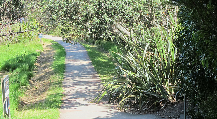 Glendowie Park to Tahuna Torea Path - Path leading into Tahuna Torea.