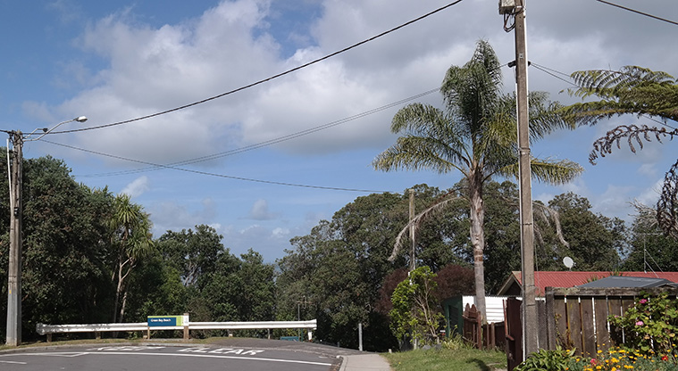Te Ara o Tiriwa / Green Bay Path - Path start.