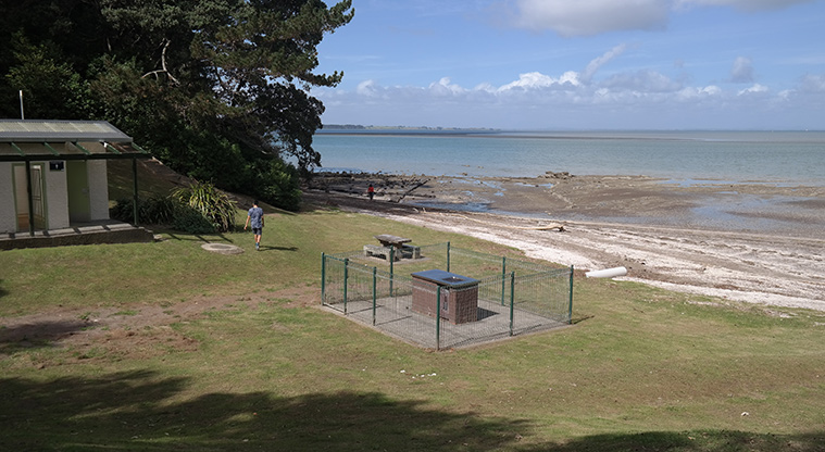 Te Ara o Tiriwa / Green Bay Path - Green Bay beach.