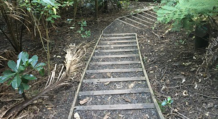 Te Ara o Tiriwa / Green Bay Path - Taunton Terrace steps – these are quite steep.