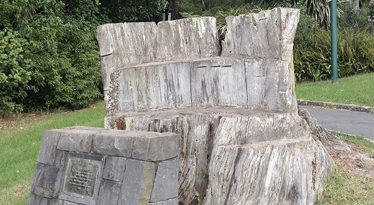 Te Ara o Tiriwa / Green Bay Path - Seating created out of old tree stump.