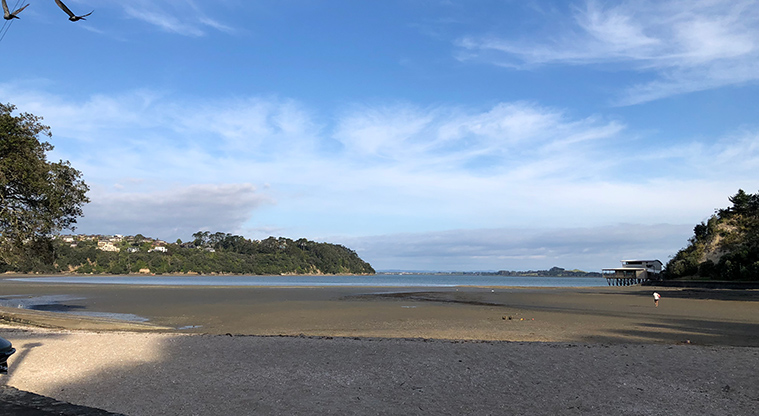 Te Ara o Tiriwa / Green Bay Path - Blockhouse Bay Beach.