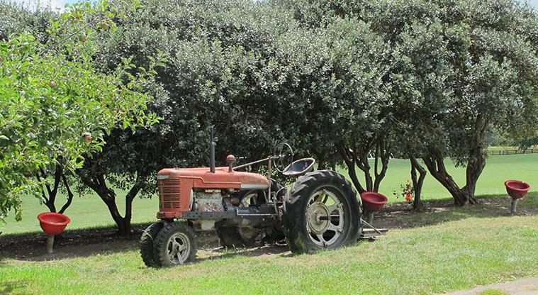 Greenhithe East Path - Play on the tractor at Wainoni Park North