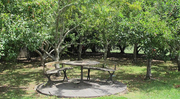 Greenhithe East Path - Shaded outdoor seating at Wainoni Park North