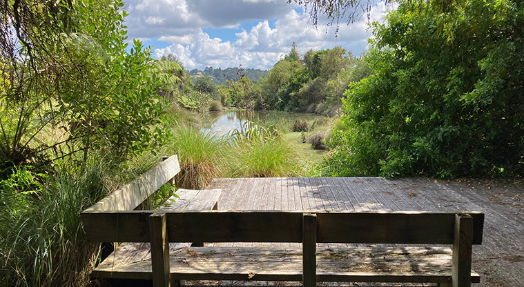 Greenhithe to Wharf Path - Wainoni Downs is small and overlooks the wetland and pond.