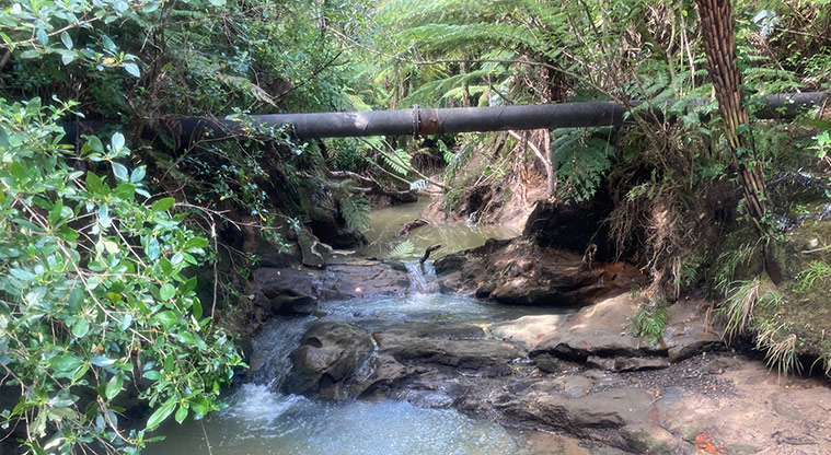 Greenhithe to Wharf Path - View of the stream.