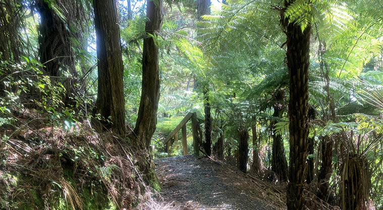 Greenhithe to Wharf Path - The track that heads to the wharf has some steps and a few muddy areas.