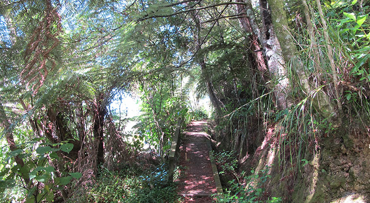 Greenhithe West Path - Path between Remu Place and Austin Road.