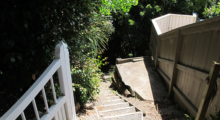 Greenhithe West Path - Steps down from Marae Road.