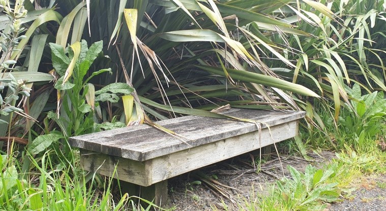 Greenwood Road Park Path - A seat along the walkway.