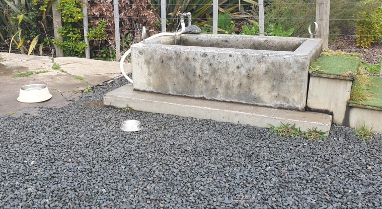 Greenwood Road Park Path - A very unique dog bath.