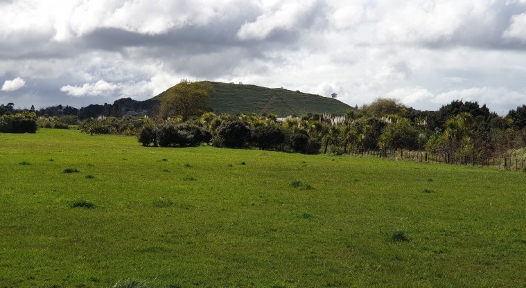 Greenwood Road Park Path - View looking at Te Pane o Mataoho / Te Ara Pueru / Māngere Mountain.