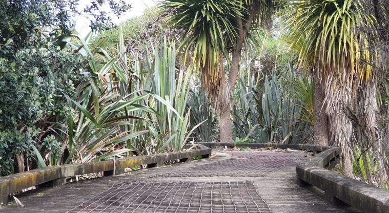 Greenwood Road Park Path - Section of the path along the boardwalk.