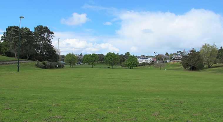 Grey Lynn Greenway Path - Sports fields with winter lighting.